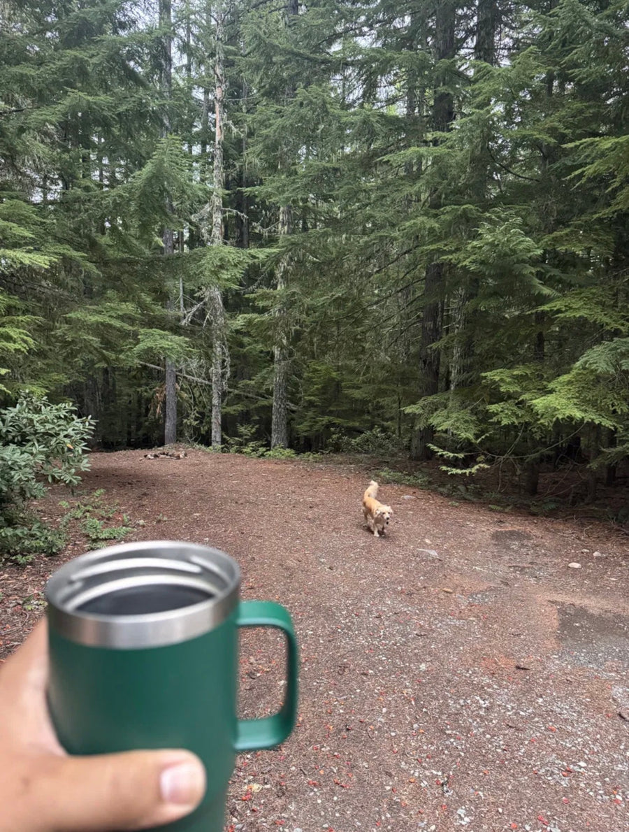 On the Trail