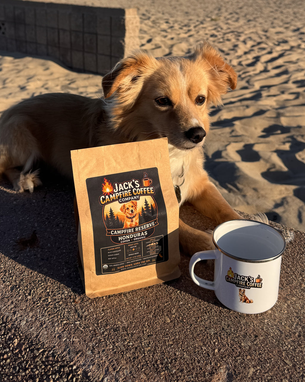 Campfire Reserve | Medium Roast