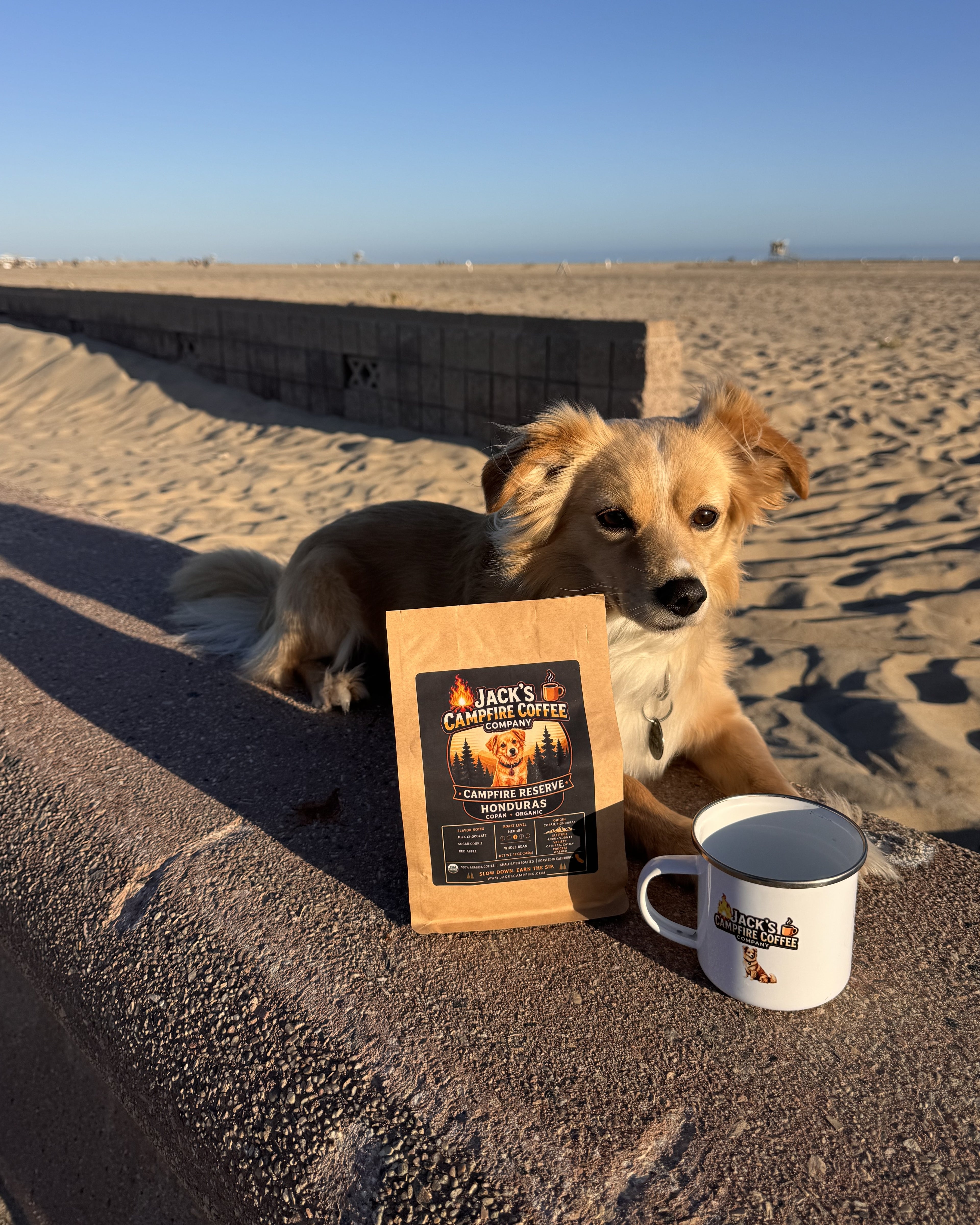 Campfire Reserve | Medium Roast